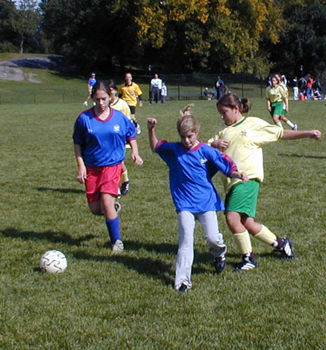 crop2.jpg (71193 bytes)